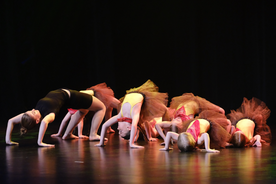 gym danse