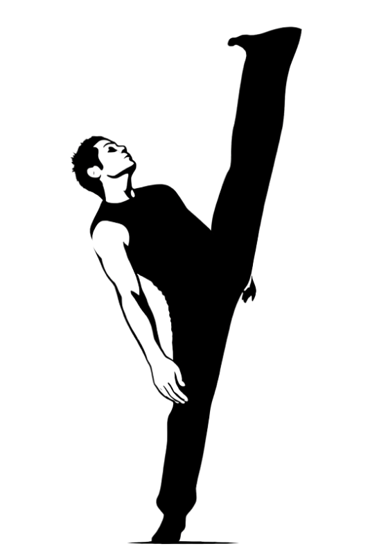 silhouette donald sans fond noir